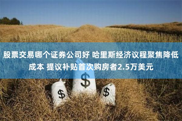 股票交易哪个证券公司好 哈里斯经济议程聚焦降低成本 提议补贴首次购房者2.5万美元